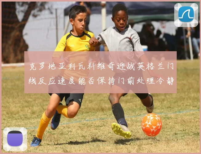 克罗地亚利瓦科维奇迎战英格兰门线反应速度能否保持门前处理冷静