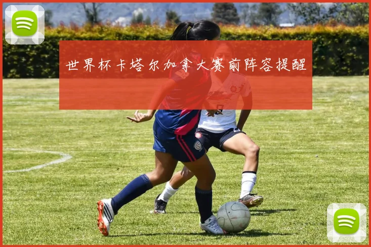 世界杯卡塔尔加拿大赛前阵容提醒