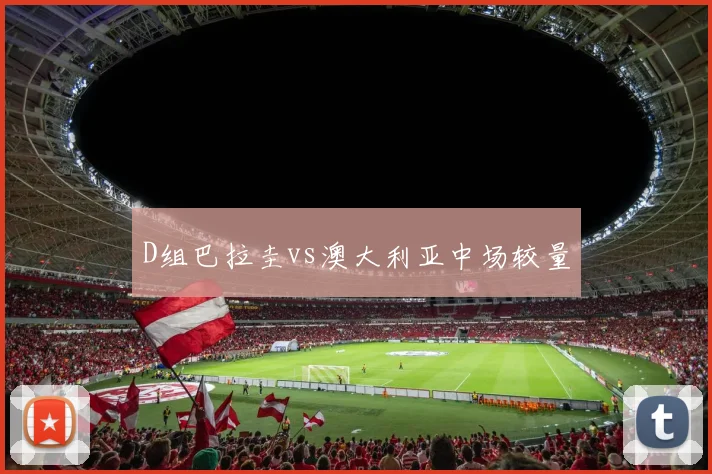 D组巴拉圭vs澳大利亚中场较量